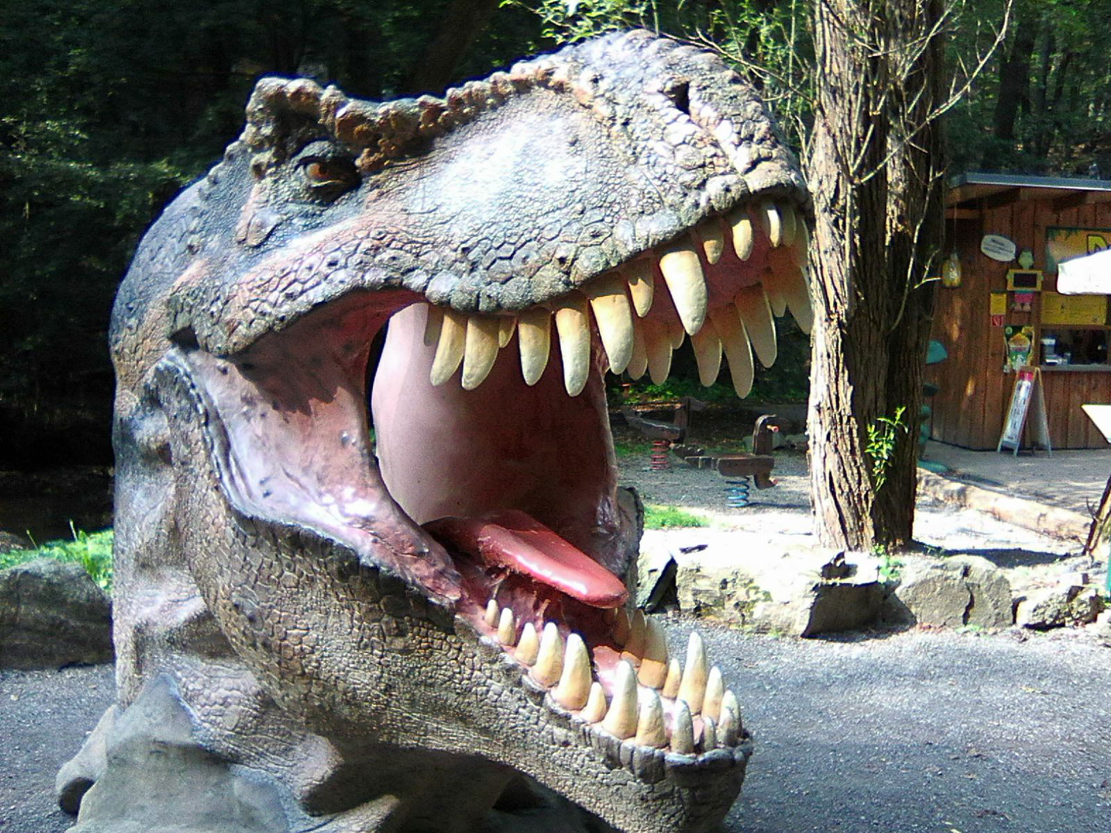 ZOO Dinopark Košic